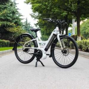 Electric Road Bikes