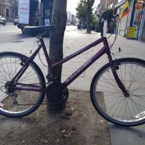 Raleigh max  Ladies Hybrid - Image 1