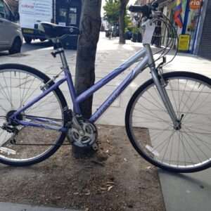 Giant Cypress - Image 1