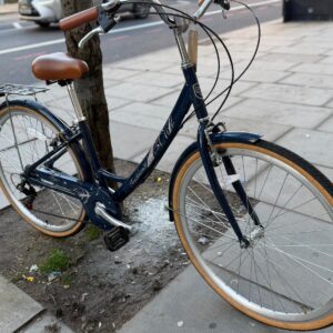 Tiger Traditional - Image 3