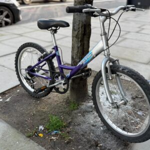 Raleigh Starz - Image 4