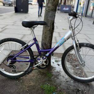 Raleigh Starz - Image 1