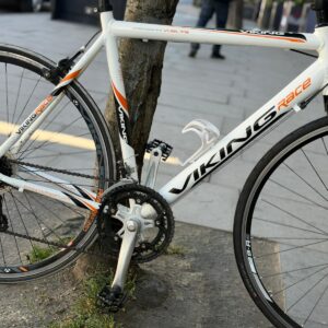 Viking Race Road - Image 4