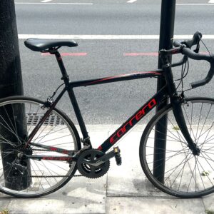 Carrera Virtuoso