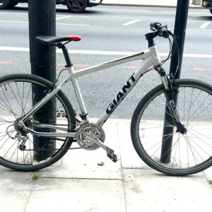 Giant Roam3